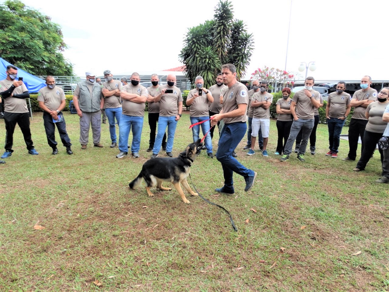 O curso abordou várias técnicas de treinamento, tendo como foco um método de captação das emoções do cão, com objetivo de motivá-lo durante a execução de suas tarefas na unidade prisional